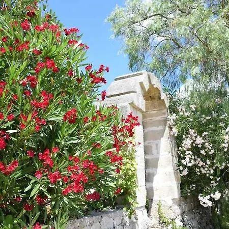 Farm stay Aia Di San Giorgio *